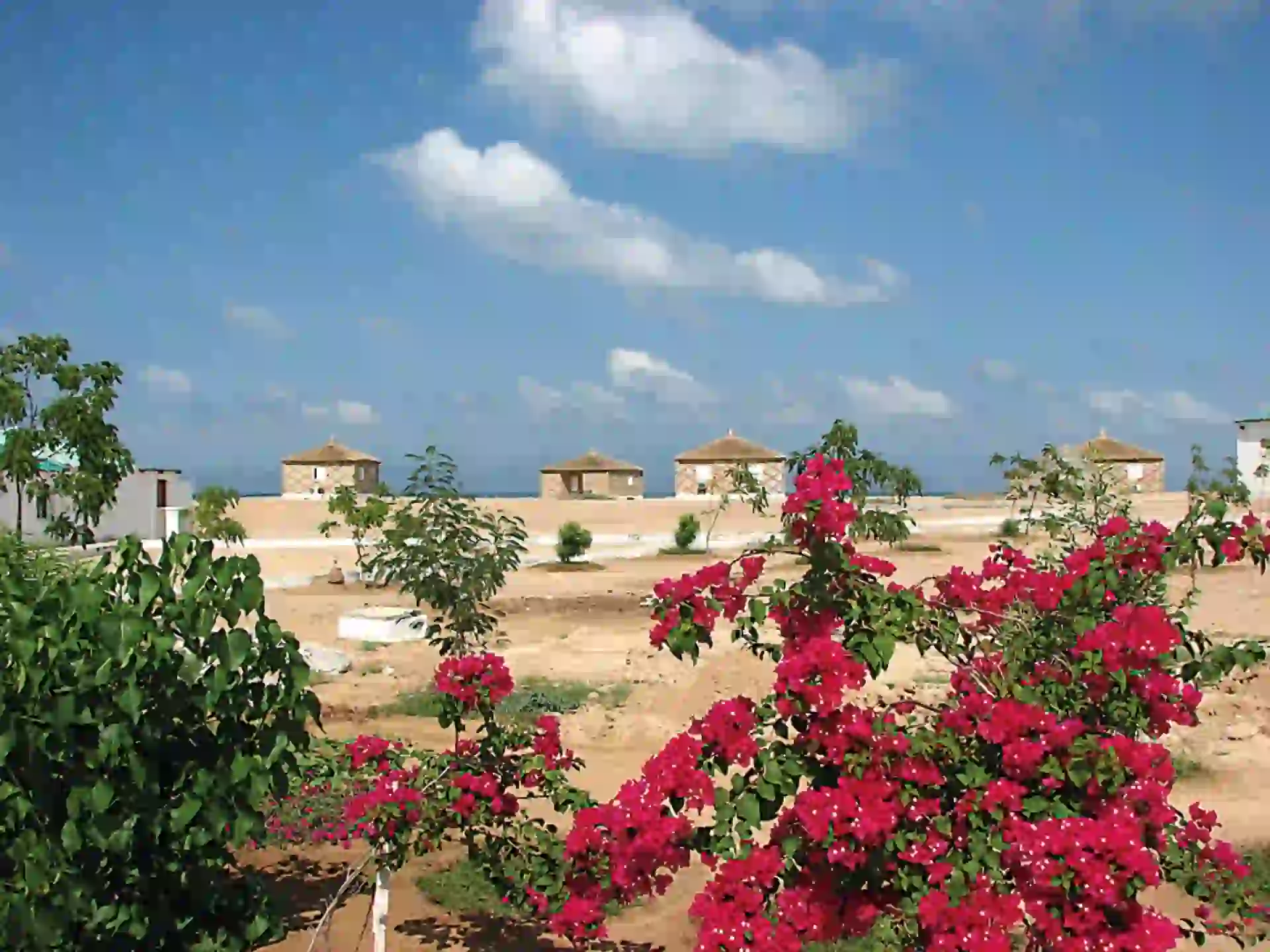 #PARA TI - VIAJES DJIBOUTI 1- news-20171103