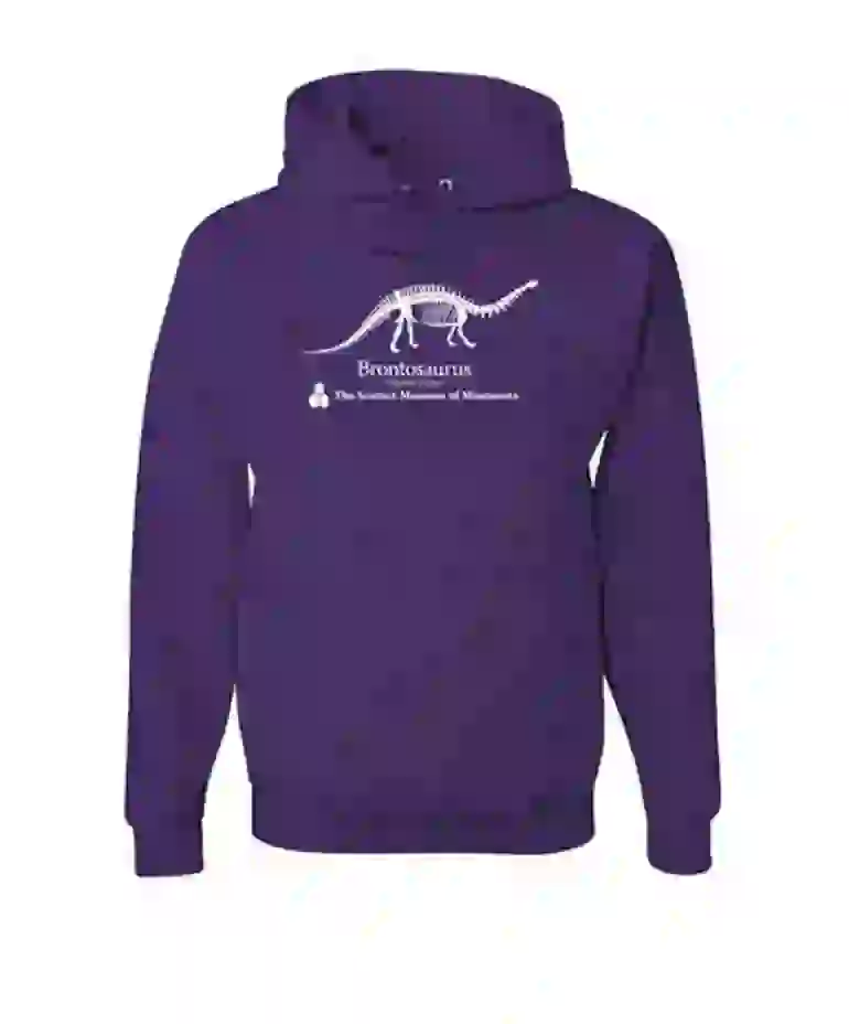 museo del ciecnia minnesota