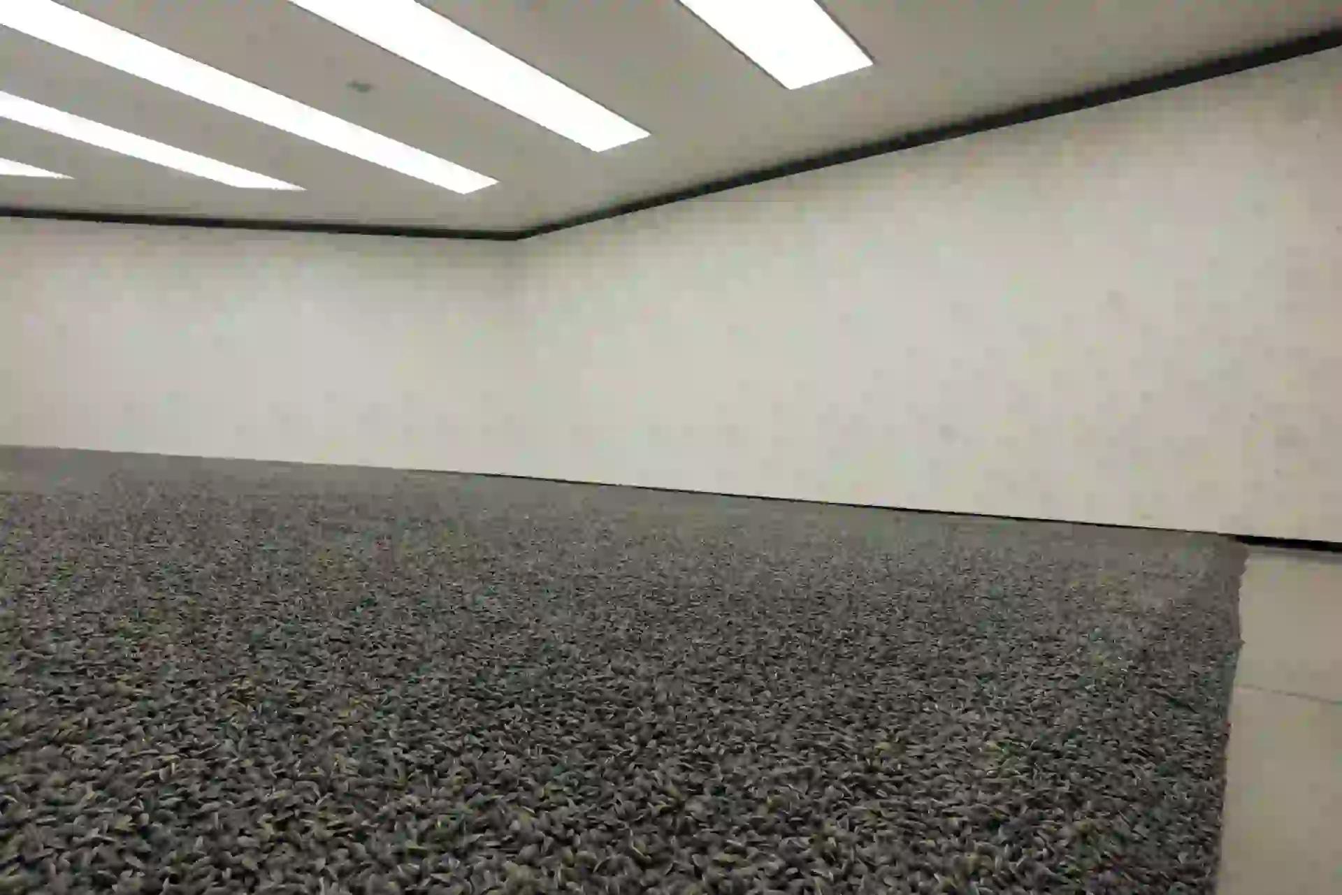 Los girasoles de cerámica, su crítica a las masas.