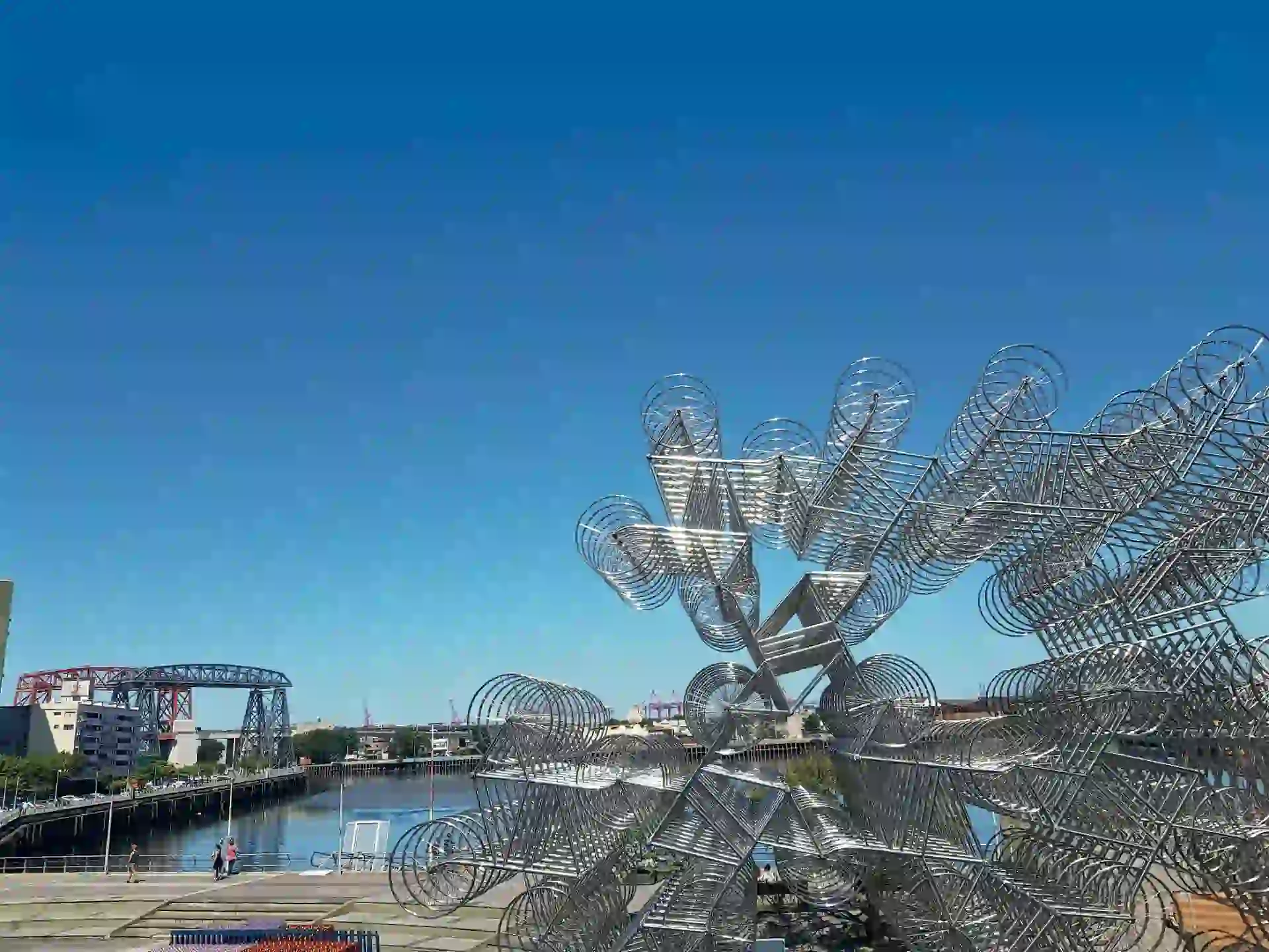 La instalación Forever Bicycles, parte de su muestra Inoculación, en Fundación PROA.