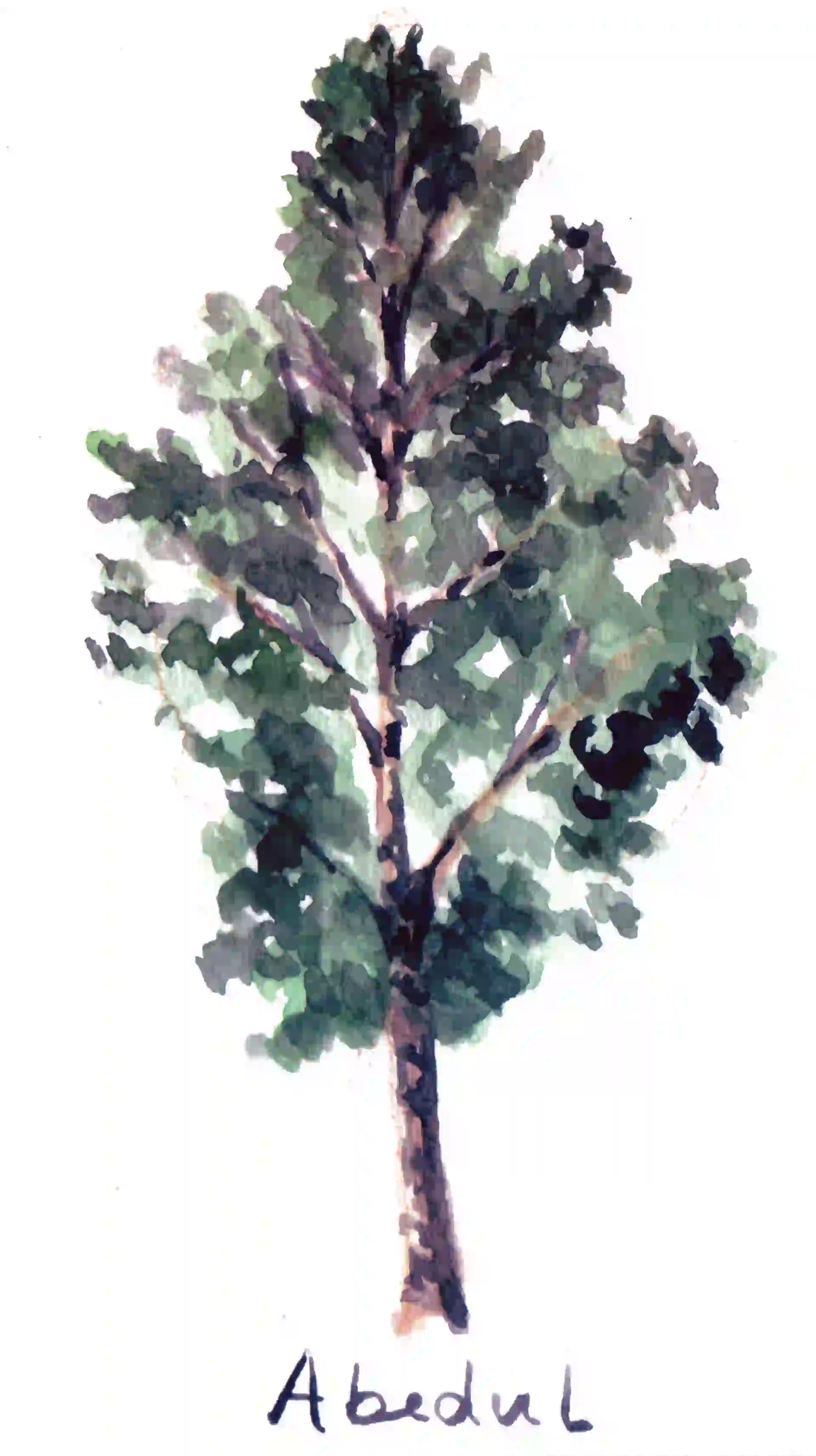 (Del 24/12 al 20/01)