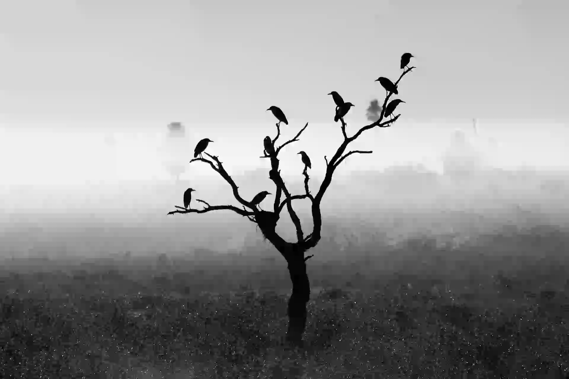 Esteros del Iberá, uno de sus escenarios favoritos.