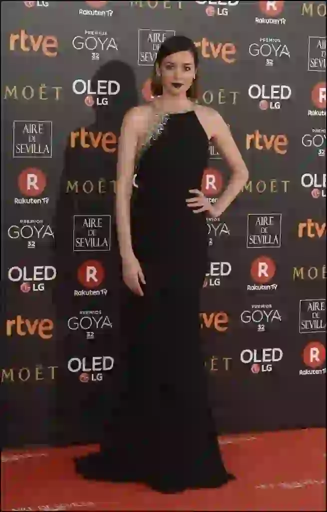 Dafne Fernandez - Celebrities arrive to the Goya Cinema Awards ceremony at the Marriot Madrid Hotel Auditorium.- February 3, 2018