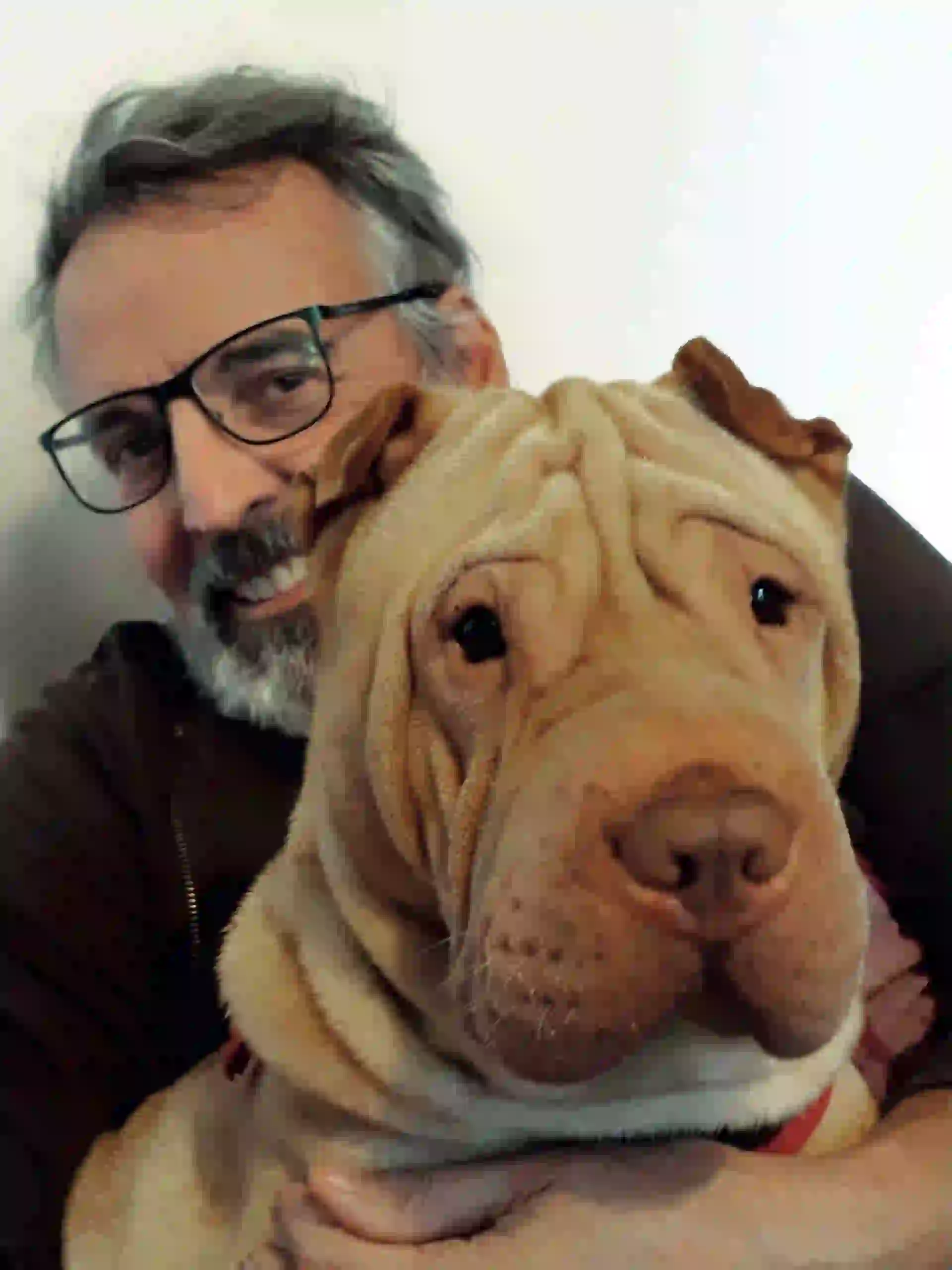 Benito Fernández (diseñador) y su sharpei José Antonio (5)