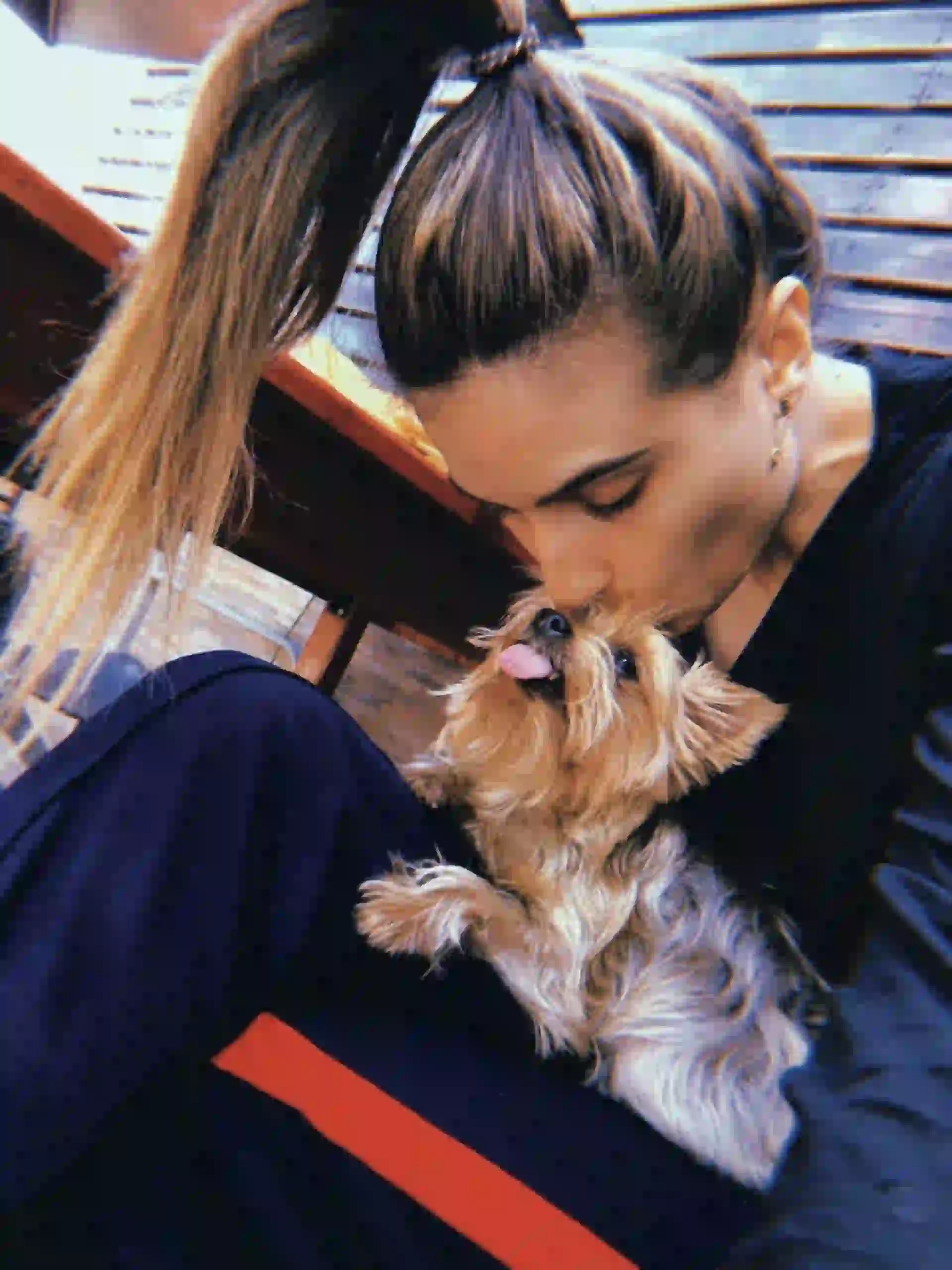 Cintia Garrido (modelo) y su yorkshire terrier Lupita (9)