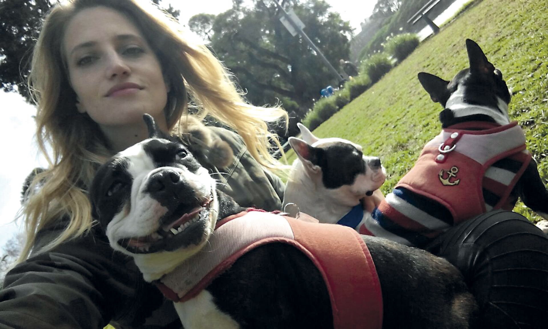 Romina Senesi (modelo) con sus boston terrier Lupita (8) y Cheesecake (4)