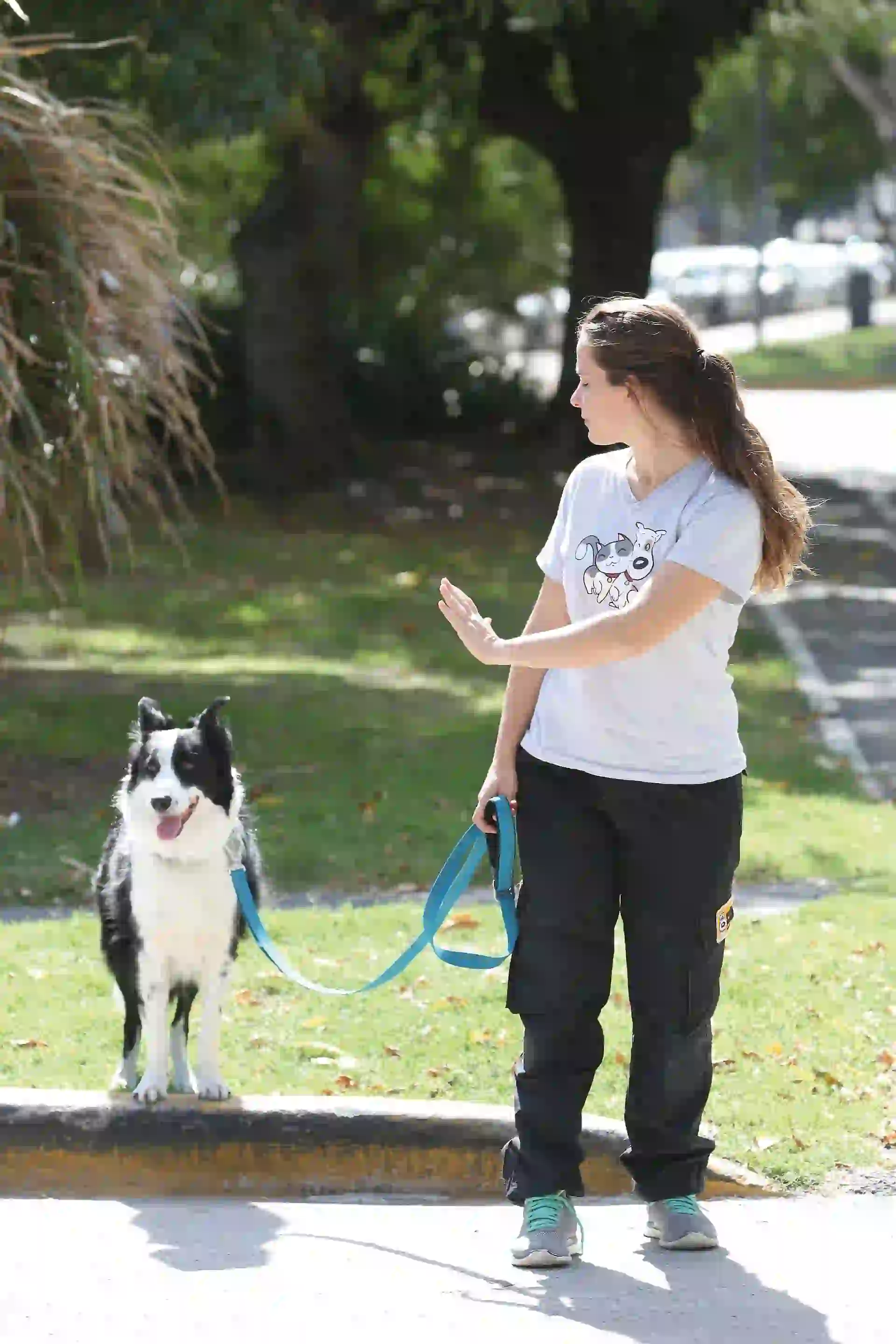 #PARATI - NEWS - mi mundo - adiestramiento6 - MD - 20180427