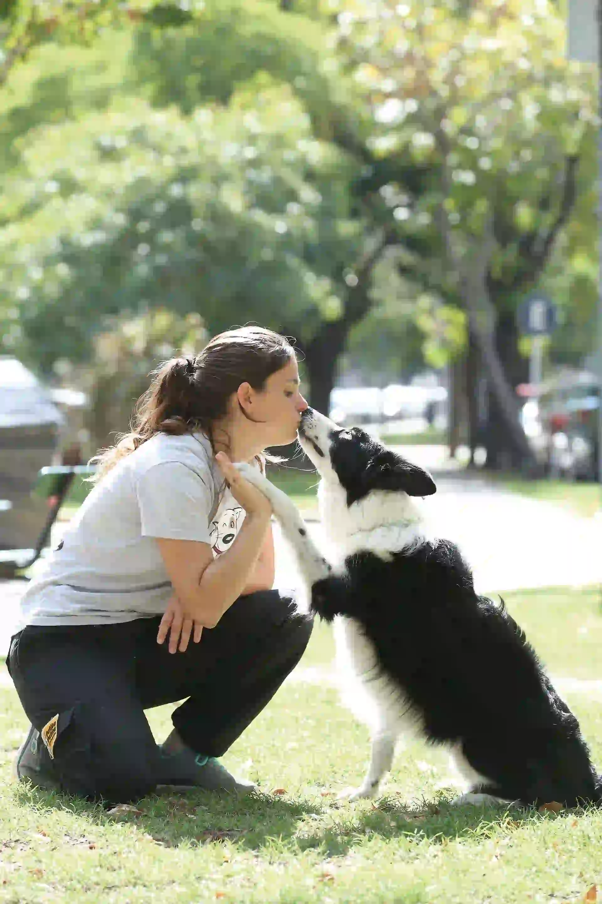 #PARATI - NEWS - mi mundo - adiestramiento7 - MD - 20180427