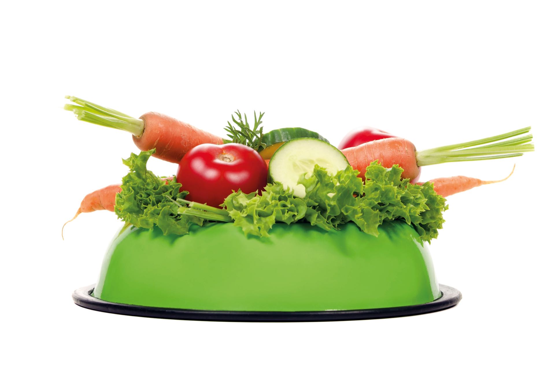 a feeding bowl full of salad and vegetables before white background