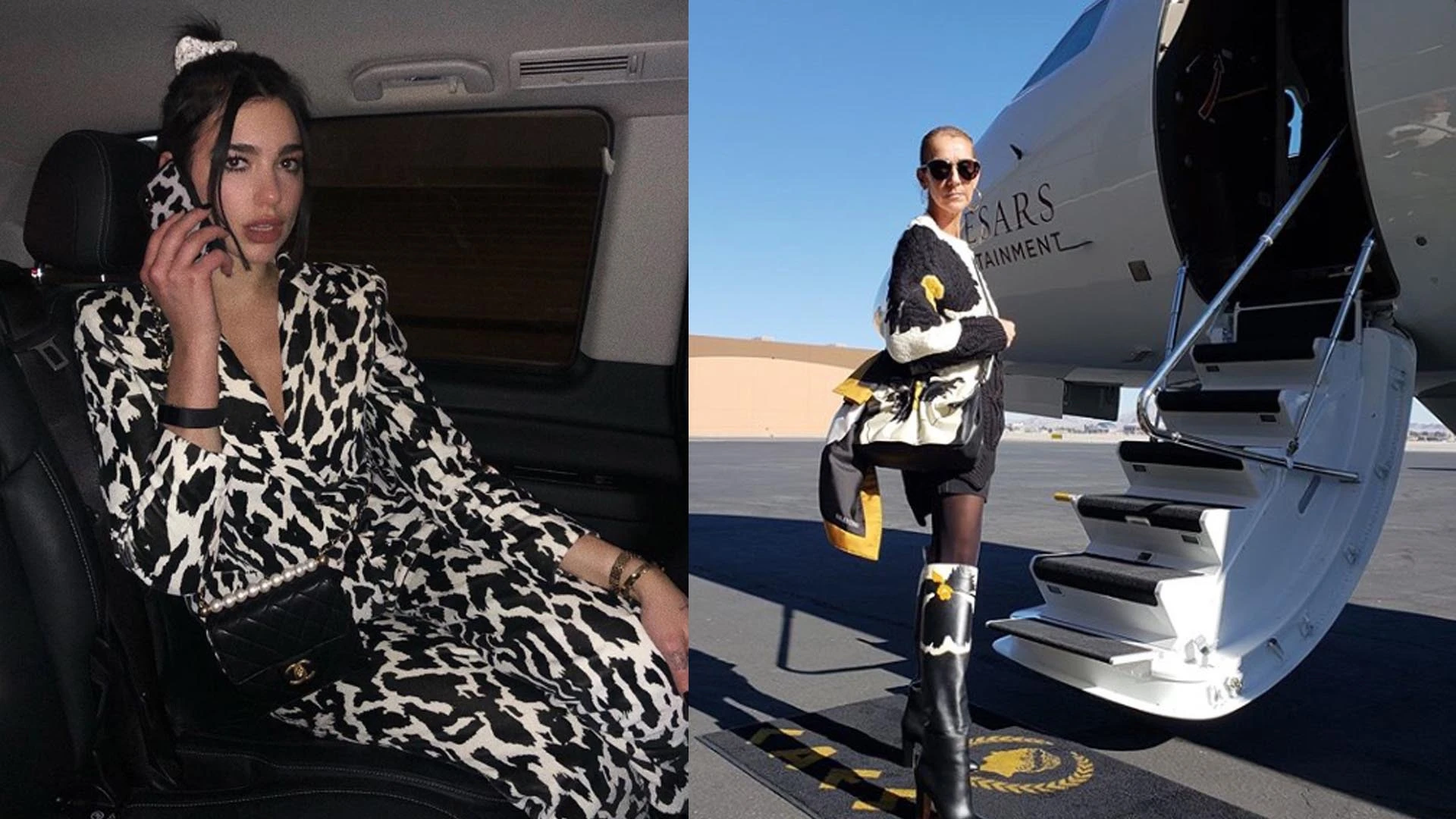 #PARA TI - COW PRINT - Moda - INSTAGRAM 2