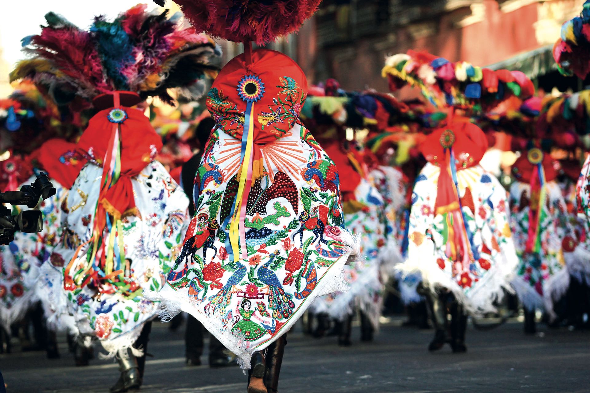 El carnaval de México. 