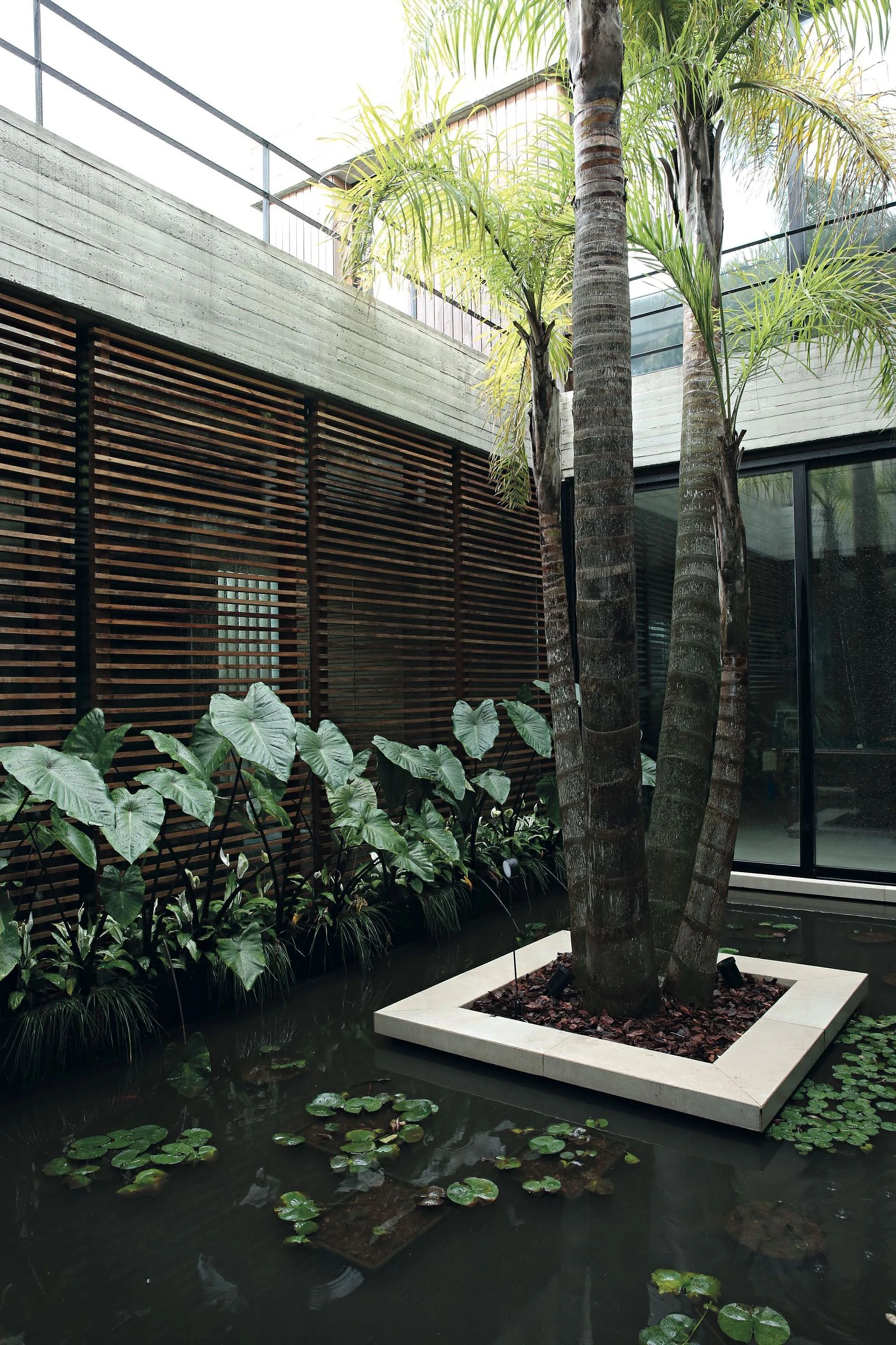 Un estanque con plantas acuáticas recibe en el acceso a la casa.