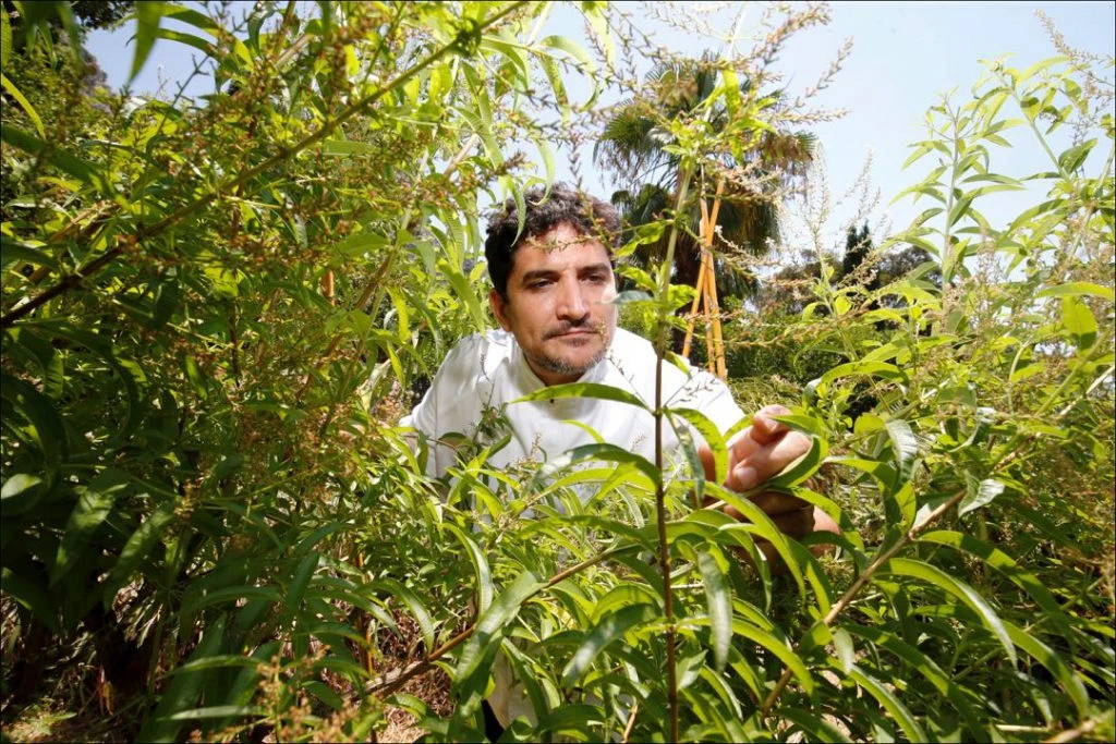 MAURO COLAGRECO MIRAZUR MICHELIN CHEF