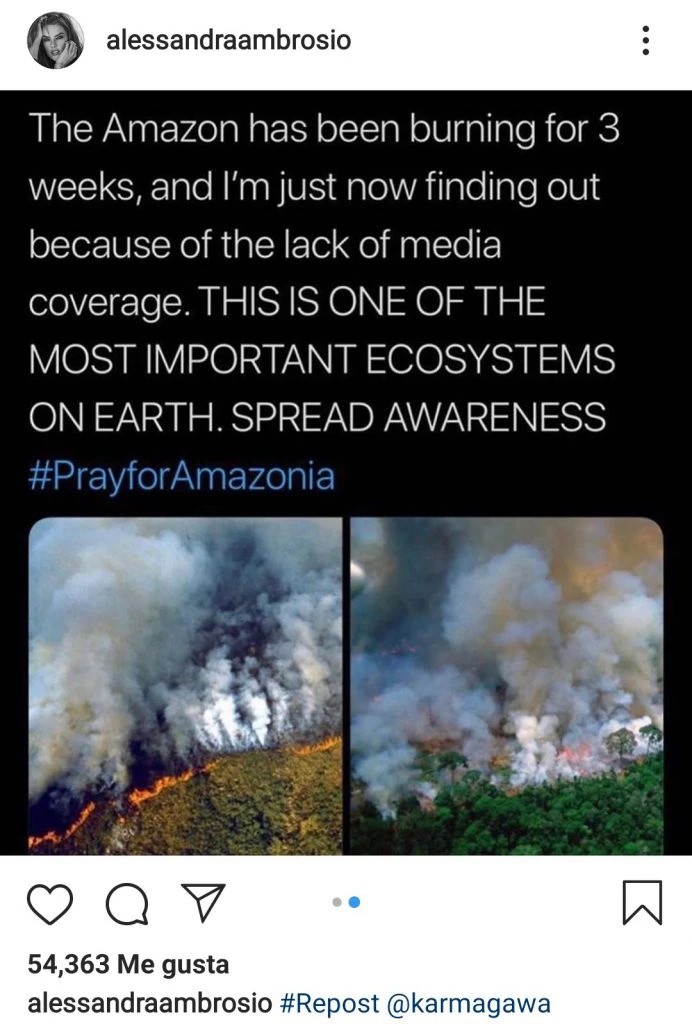 Incendio Amazonas Medio Ambiente