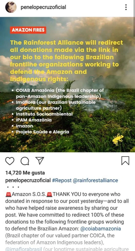 Incendio Amazonas Medio Ambiente