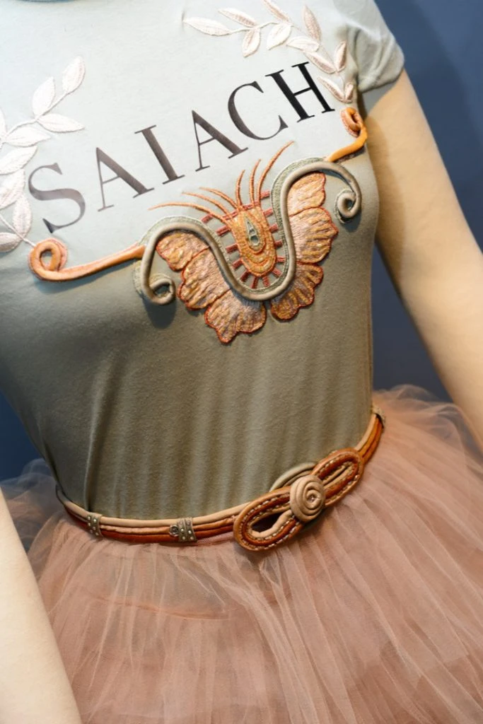 Javier Saiach Meeet and Greet Para Ti