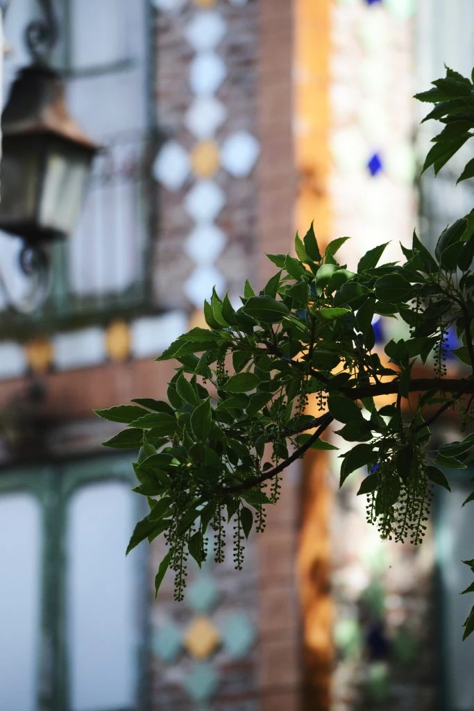 Campanopolis, una escapada Deco en Buenos Aires