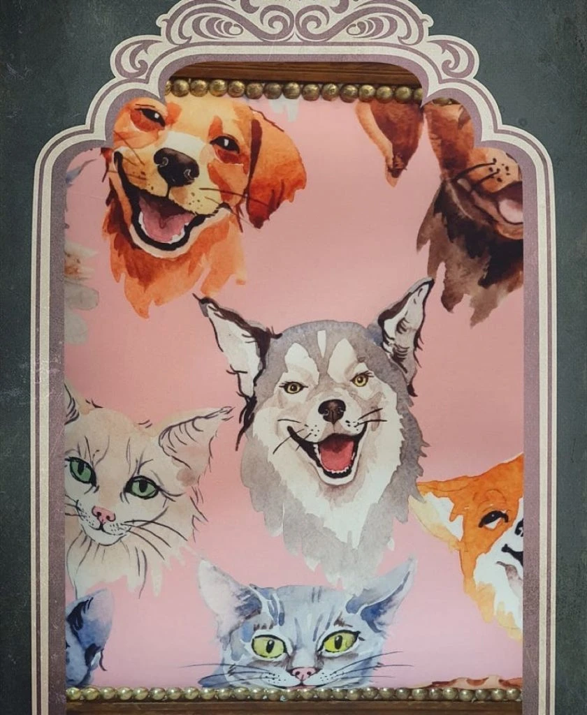 CHINA SUAREZ COMEDOR