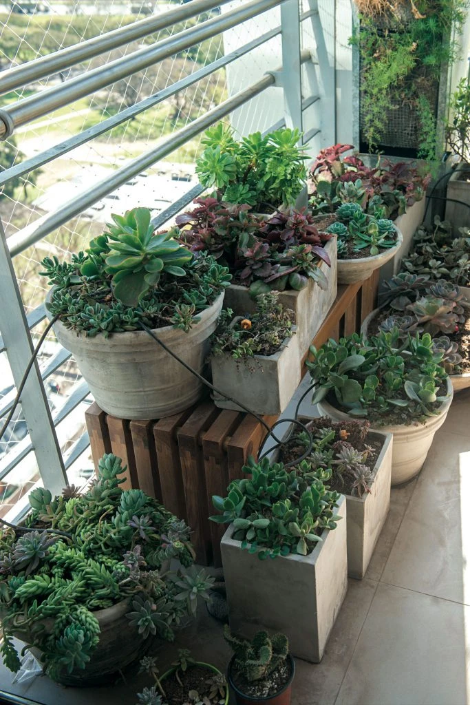 DEPARTAMENTO FORUM ESTUDIO GGYA