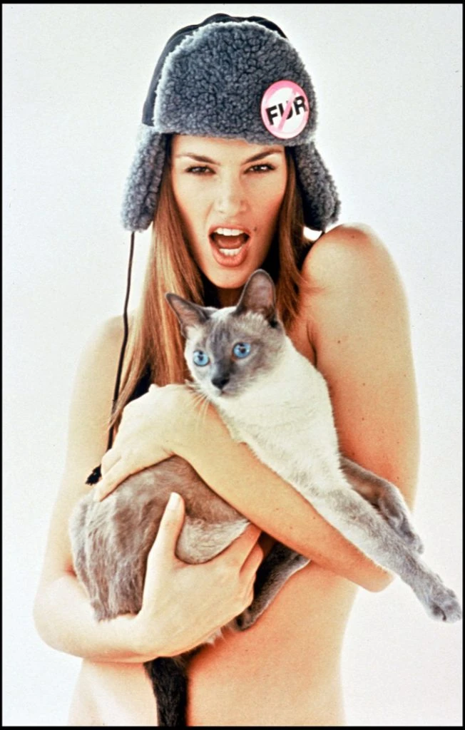 Cindy Crawford. Foto: Fotonoticias.PETA CAMPANIA