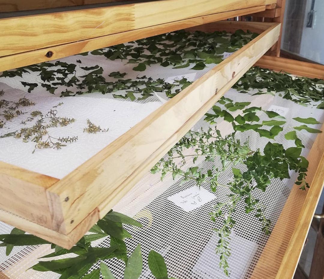 Cómo aumentar nuestras defensas con medicina y alimentación natural