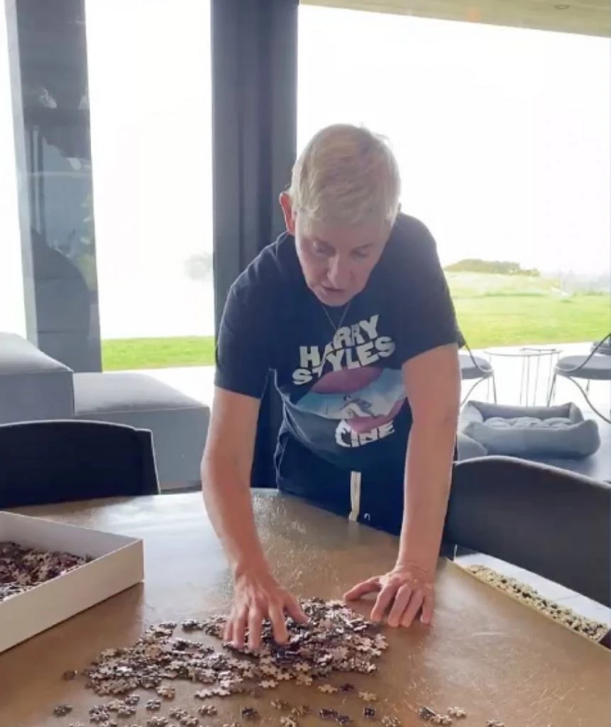 ELLEN DEGENERES CUARENTENA ROMPECABEZAS