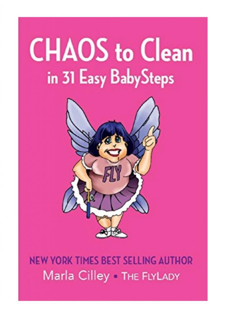 El libro con las reglas de Marla Cilley, The FlyLady.