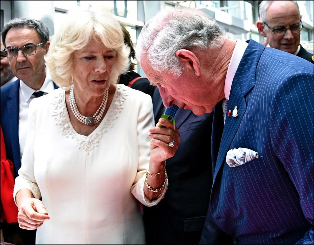 PRINCIPE CARLOS CON CORONAVIRUS