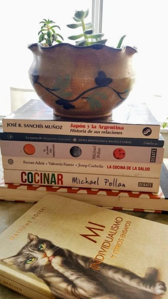 Cómo ordenar en cuarentena en primera persona por Paula Ikeda