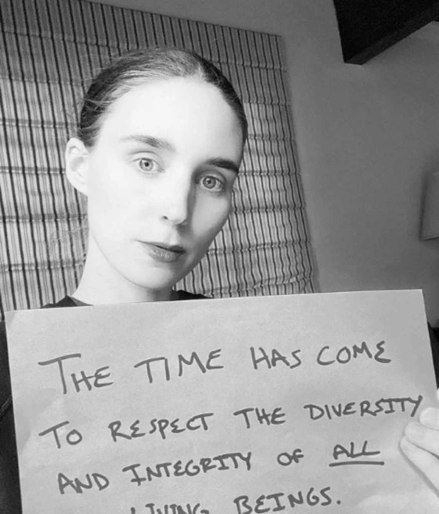 ROONEY MARA PETITORIO CORONAVIRUS CELEBRITIES