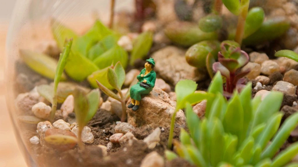 Noble Natura. Cómo armar un terrario
