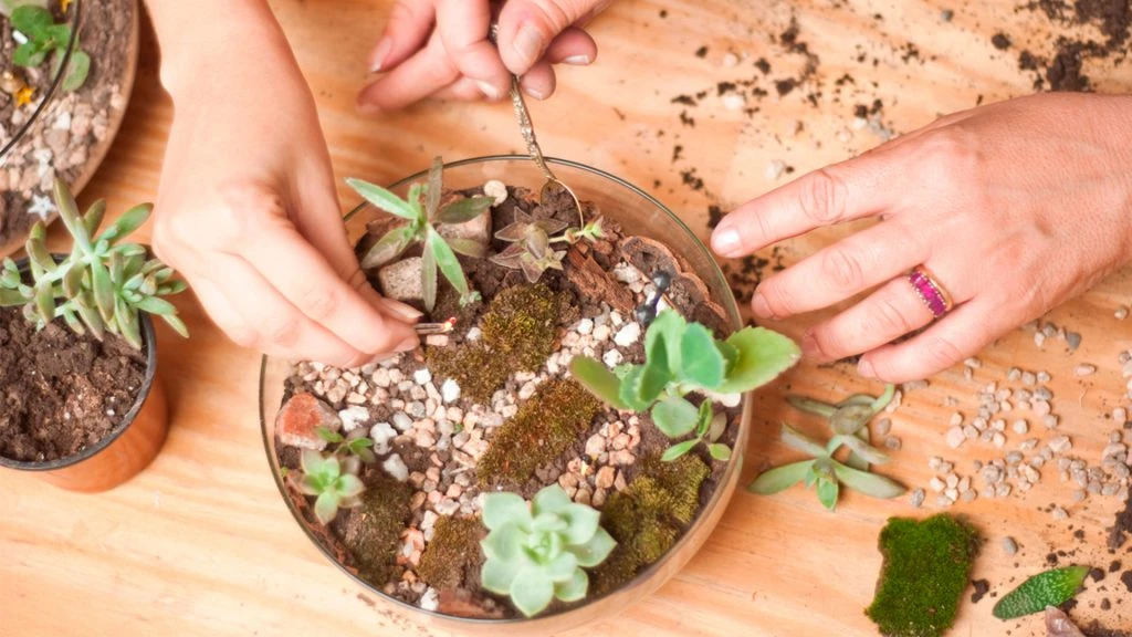 Noble Natura. Cómo armar un terrario