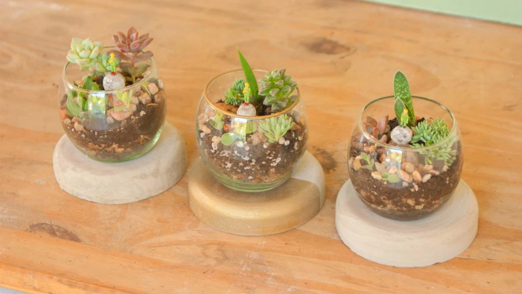 Noble Natura. Cómo armar un terrario