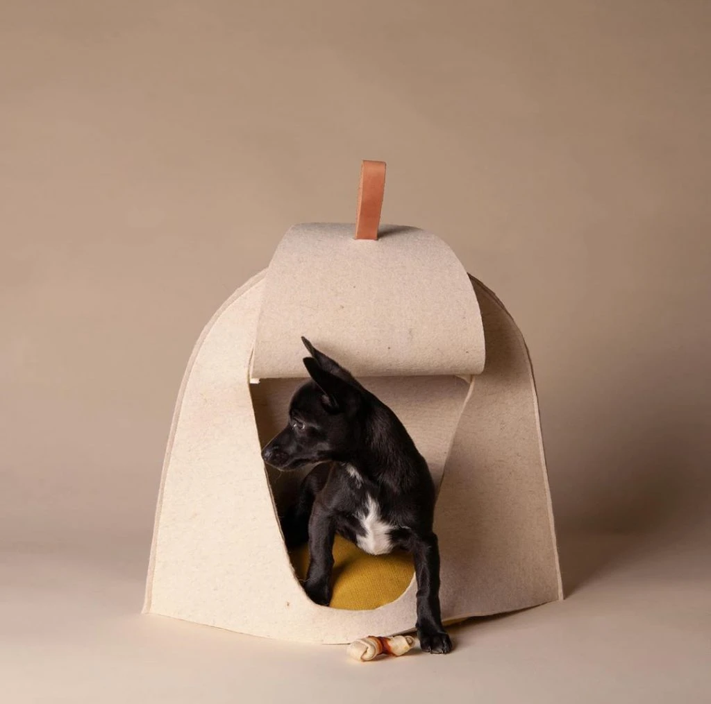 Diseño y mascotas. Claudia Pérez y Pedro Ochando,