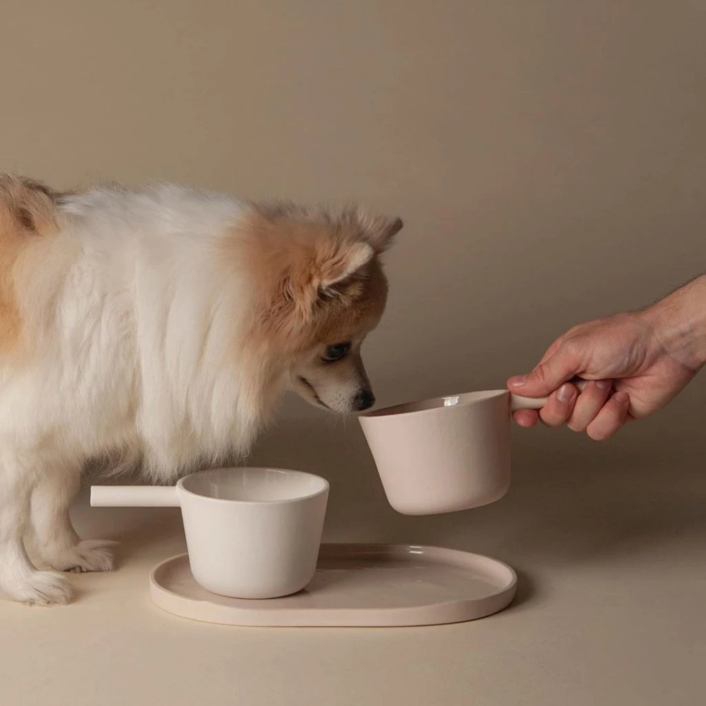 Diseño y mascotas. Claudia Pérez y Pedro Ochando,