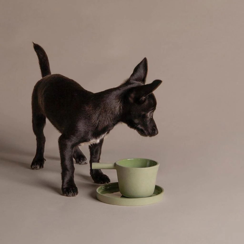 Diseño y mascotas. Claudia Pérez y Pedro Ochando,