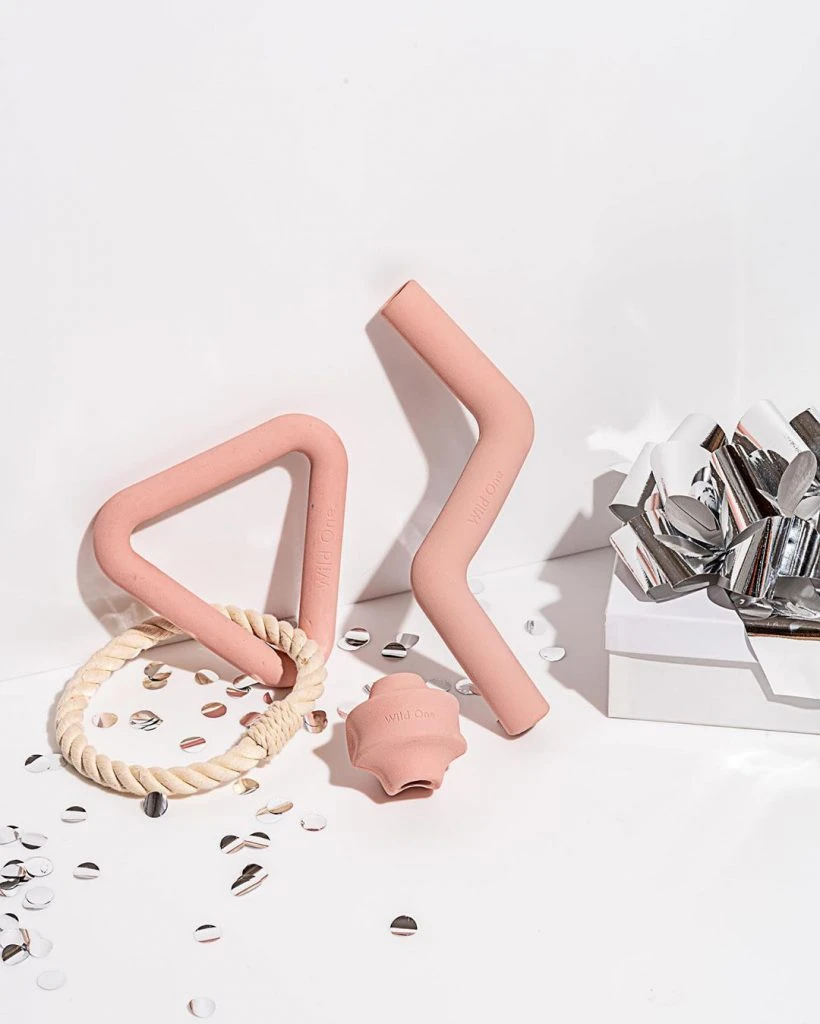 Wild One. Juguetes para mascotas con diseño