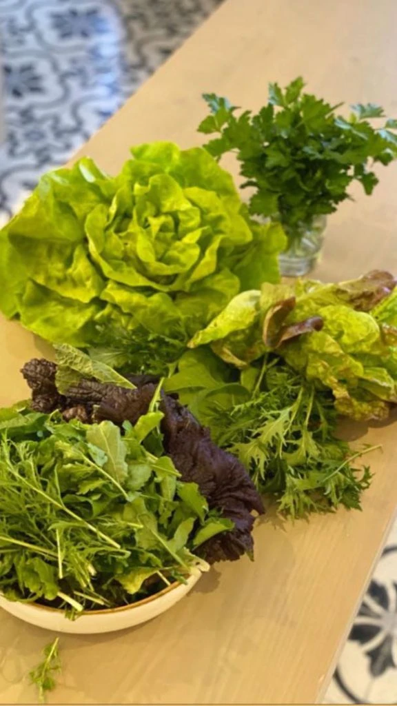 Juliana Awada huerta
