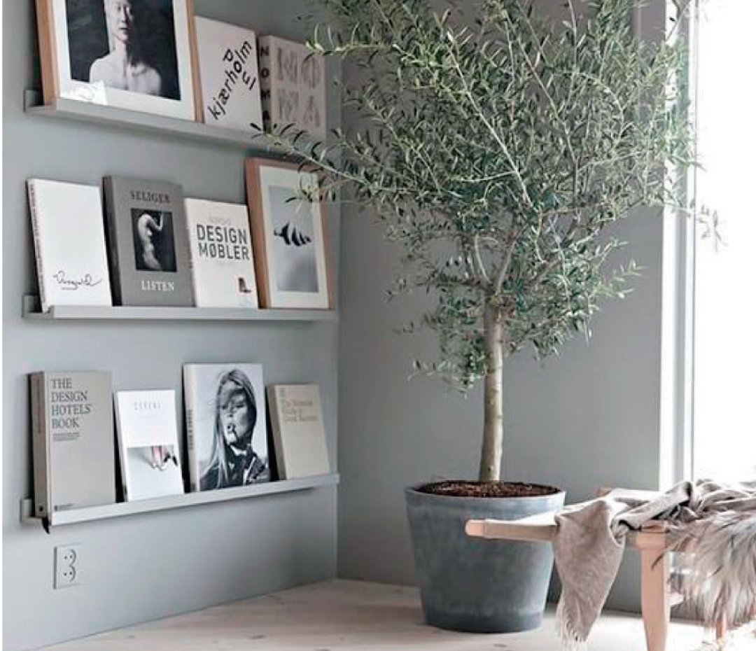 El olivo es el nuevo árbol preferido de la decoración de interiores