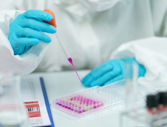 Qué es el chapare virus: tiene síntomas parecidos al dengue y ya causó varias muertes