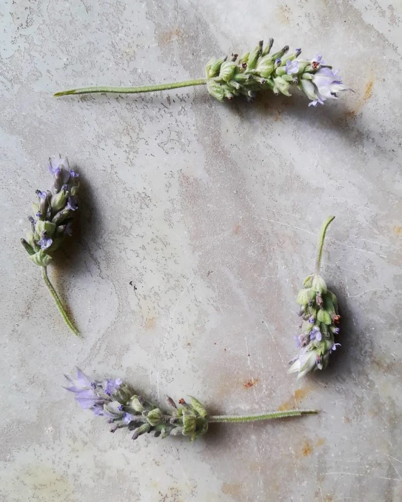 Esencias para el hogar. 
