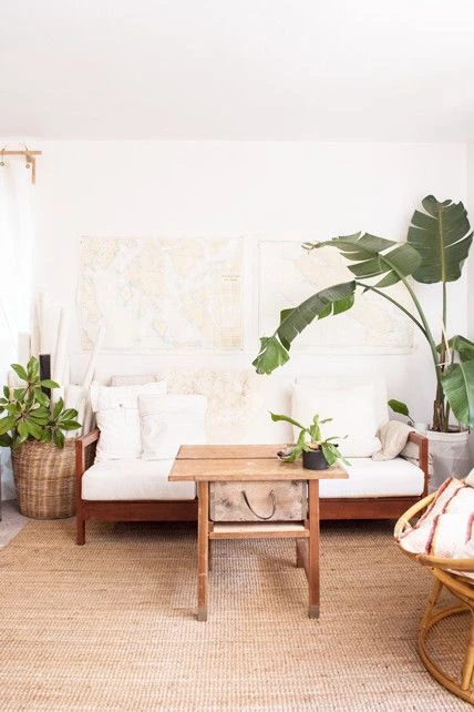 Flor de pájaro. Plantas de interior