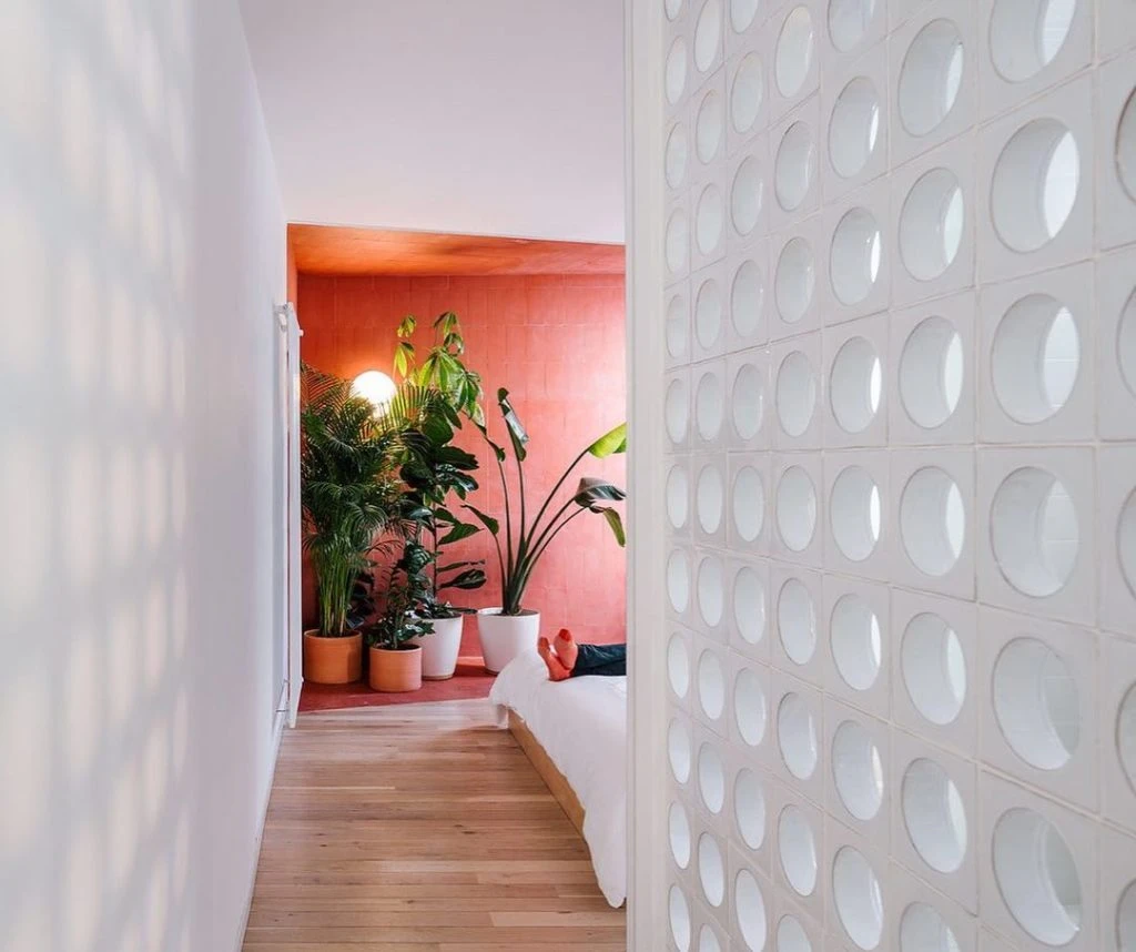 Flor de pájaro. Plantas de interior