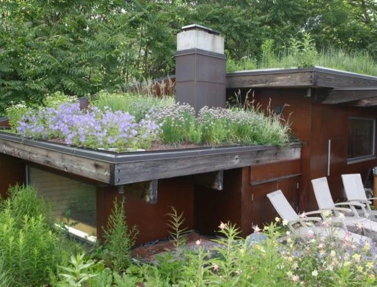 5 espectaculares casas ecológicas y sustentables (por dentro y por fuera)