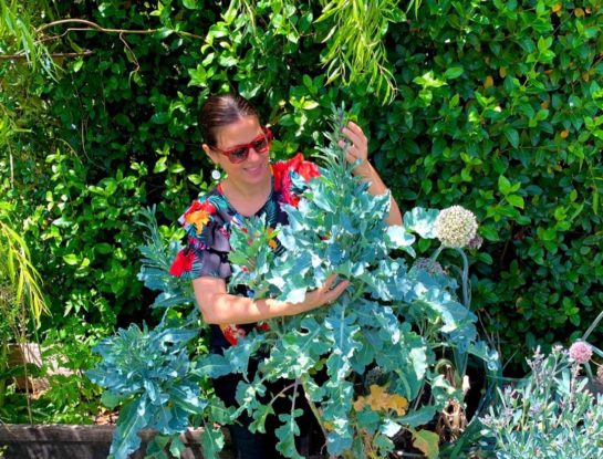 3 recetas perfectas para preparar kale, el vegetal súper beneficioso que se puso de moda