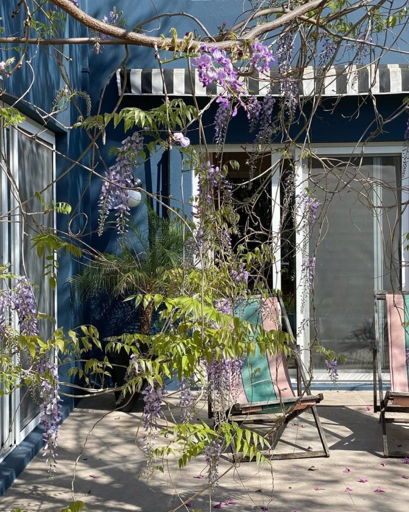 Cómo usar el verde. Mariana Puscq