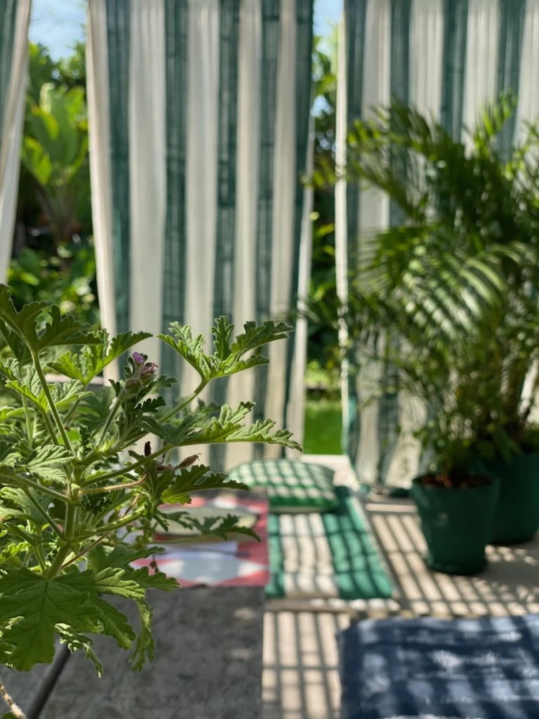 Cómo usar el verde. Mariana Puscq