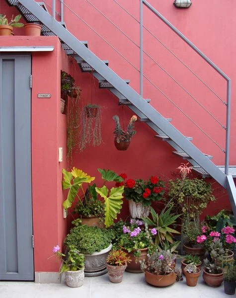 Macetas debajo de la escalera