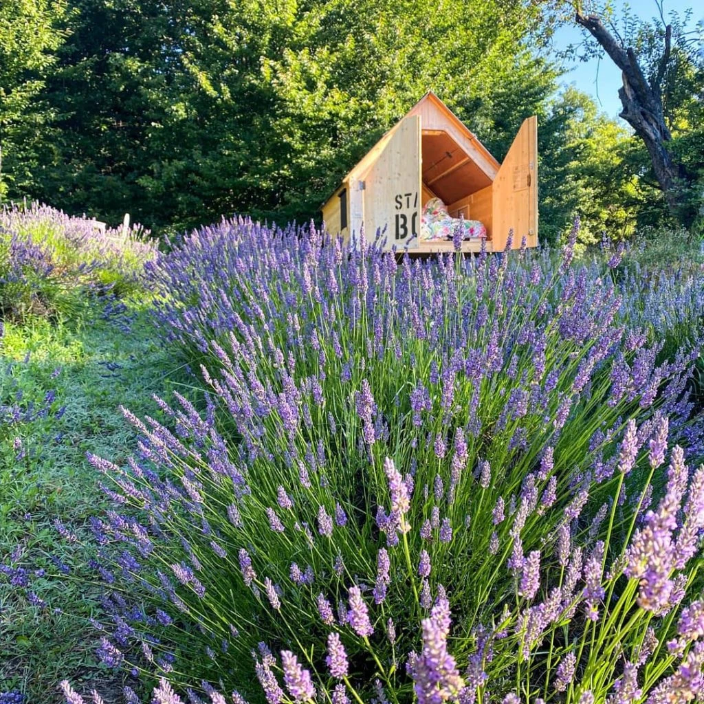 Star Box. Refugios con diseño