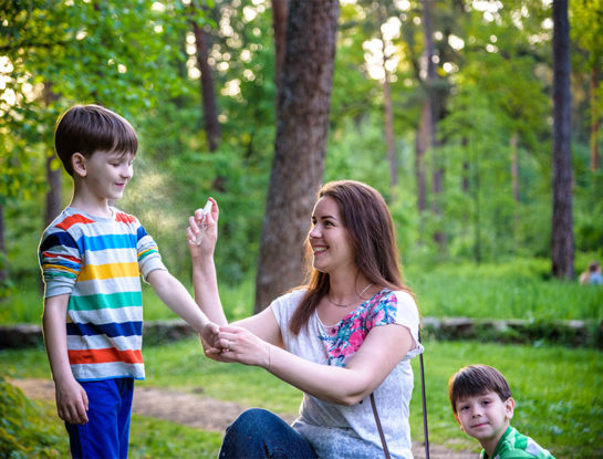 Invasión de mosquitos: cómo cuidarnos de las picaduras y qué hacer para evitar su proliferación